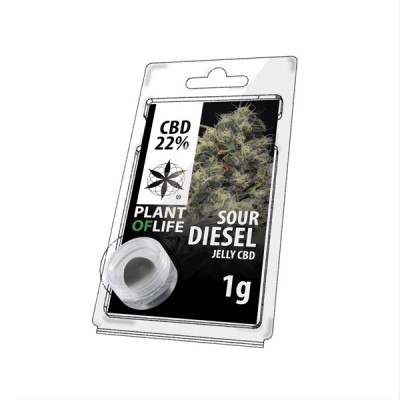 Résine CBD Sour Diesel  22% / Plant Of Life