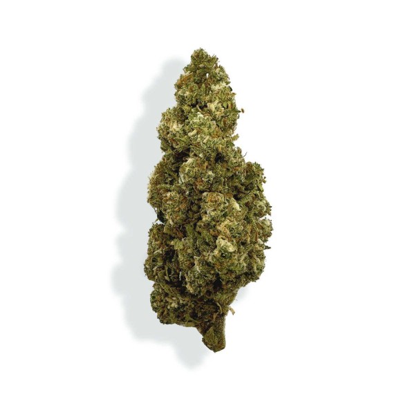 Fleur de CBD l'Orange Bud 11%